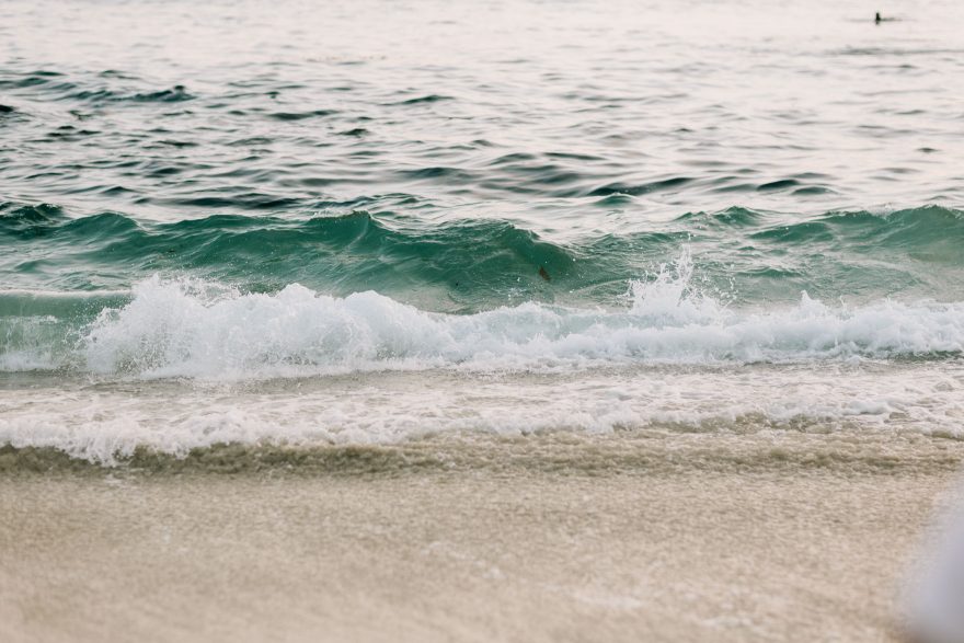 Four-Legged La Jolla Splashing – Photo by Let's Frolic Together