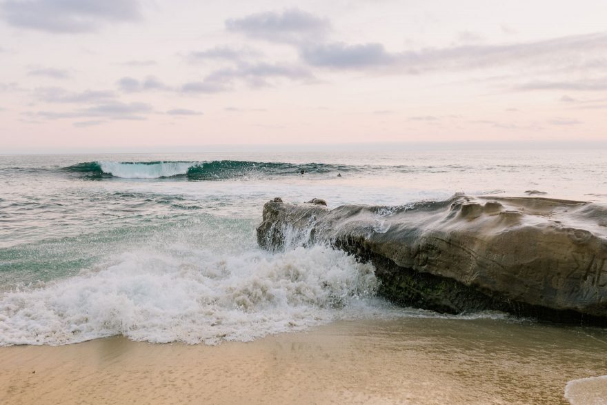 Four-Legged La Jolla Splashing – Photo by Let's Frolic Together