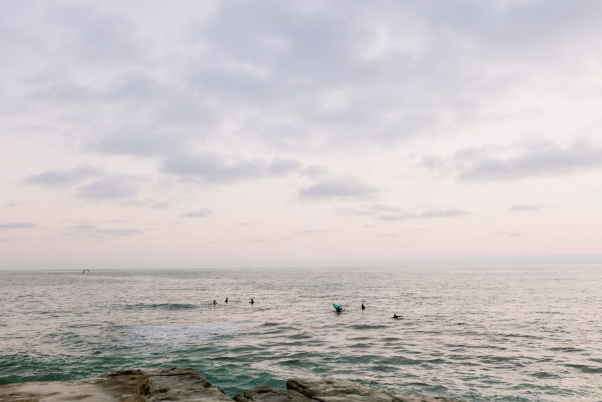 Four-Legged La Jolla Splashing – Photo by Let's Frolic Together